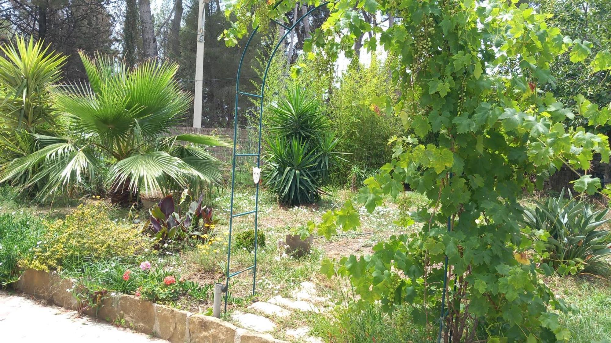 Villa Magali Grande Terrasse Vue Mer, Jardin, Proche Port 拉西约塔 外观 照片