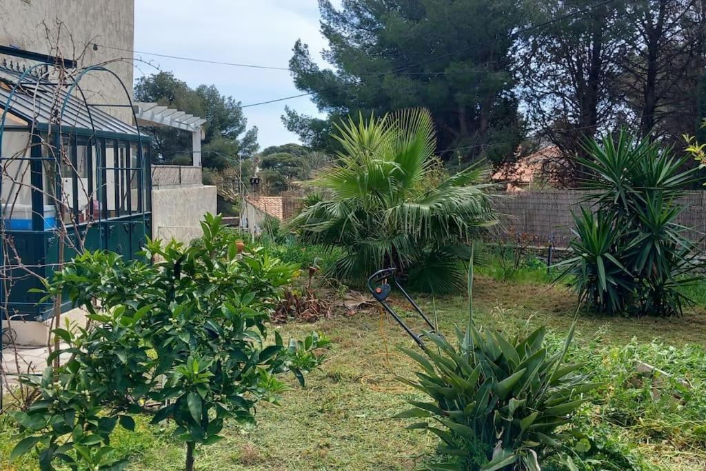 Villa Magali Grande Terrasse Vue Mer, Jardin, Proche Port 拉西约塔 外观 照片